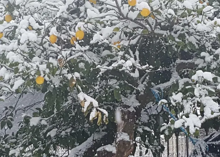 A Do' Cumparone Alojamento de Acomodação e Pequeno-almoço