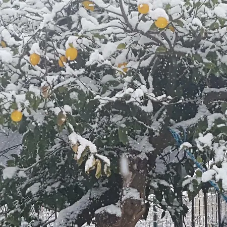 A Do' Cumparone Frühstückspension