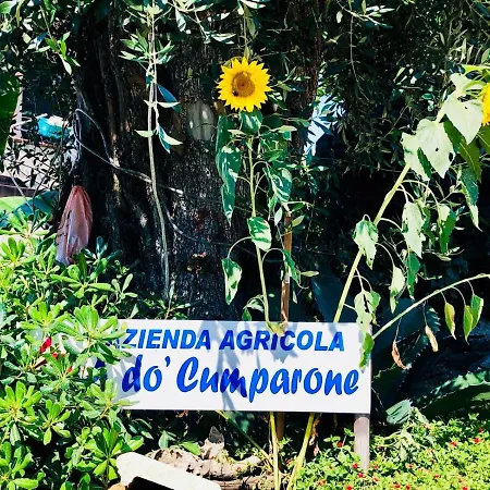 A Do' Cumparone *